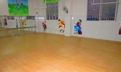 广州番禺区东沙幼儿园舞蹈室pvc运动地板