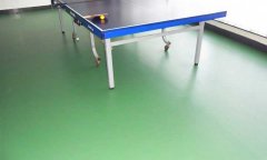北京宣武区广安宾馆乒乓球地胶